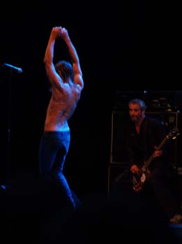 iggyothestooges5