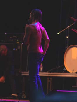 iggyothestooges7