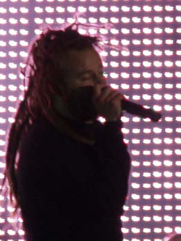 inflames